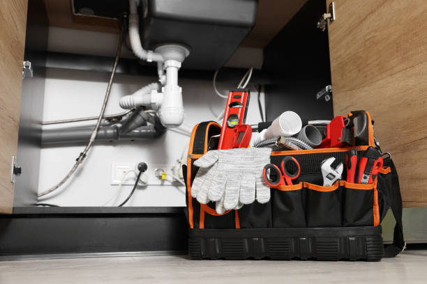 Best Residential Plumbing Services  in Haslett, MI